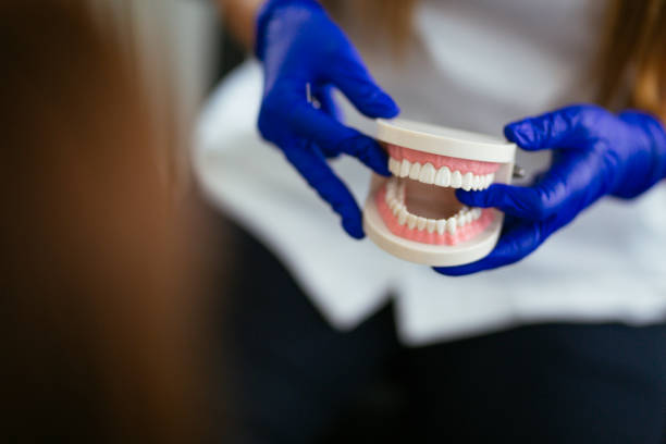 Best Preventive Dentistry  in Penbrook, PA